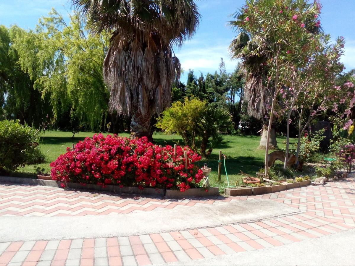Le Rose Daire Olmedo Dış mekan fotoğraf