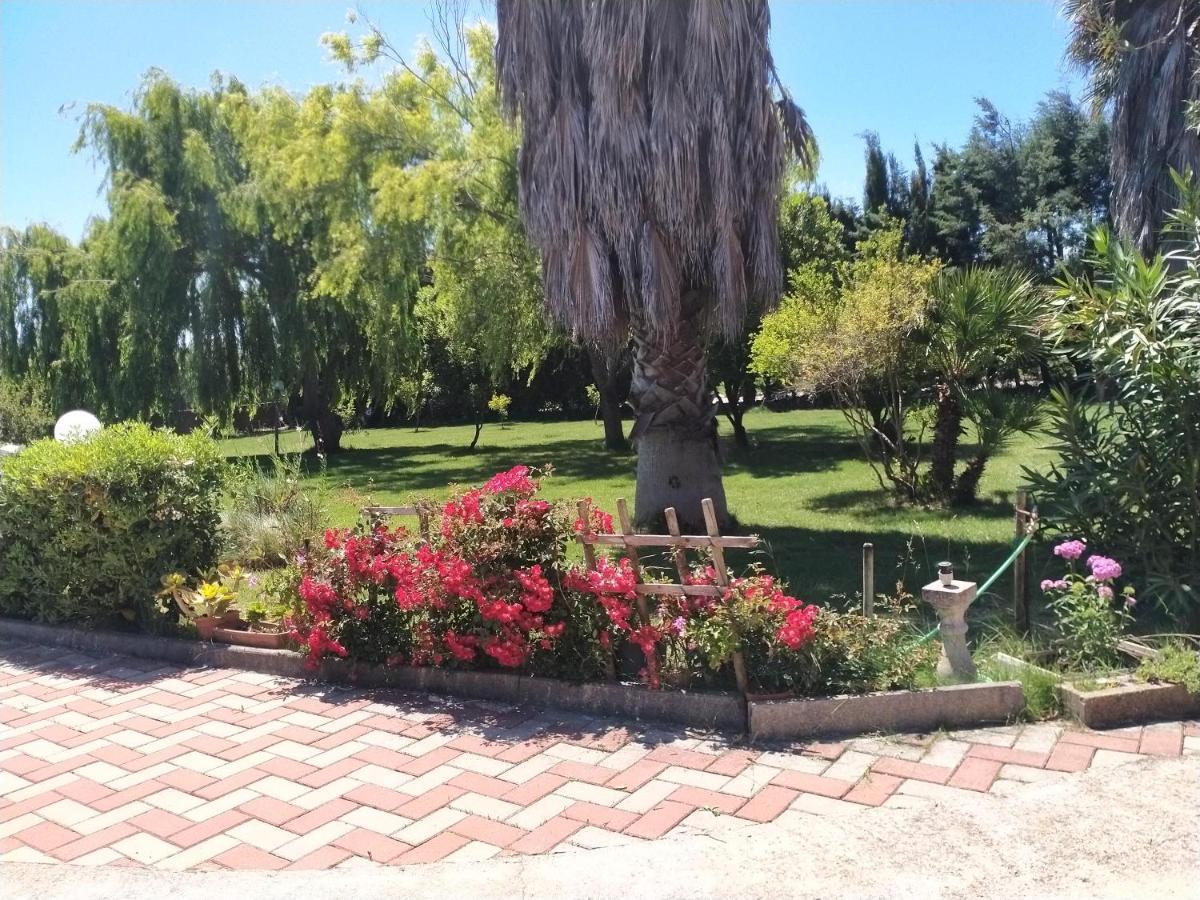 Le Rose Daire Olmedo Dış mekan fotoğraf
