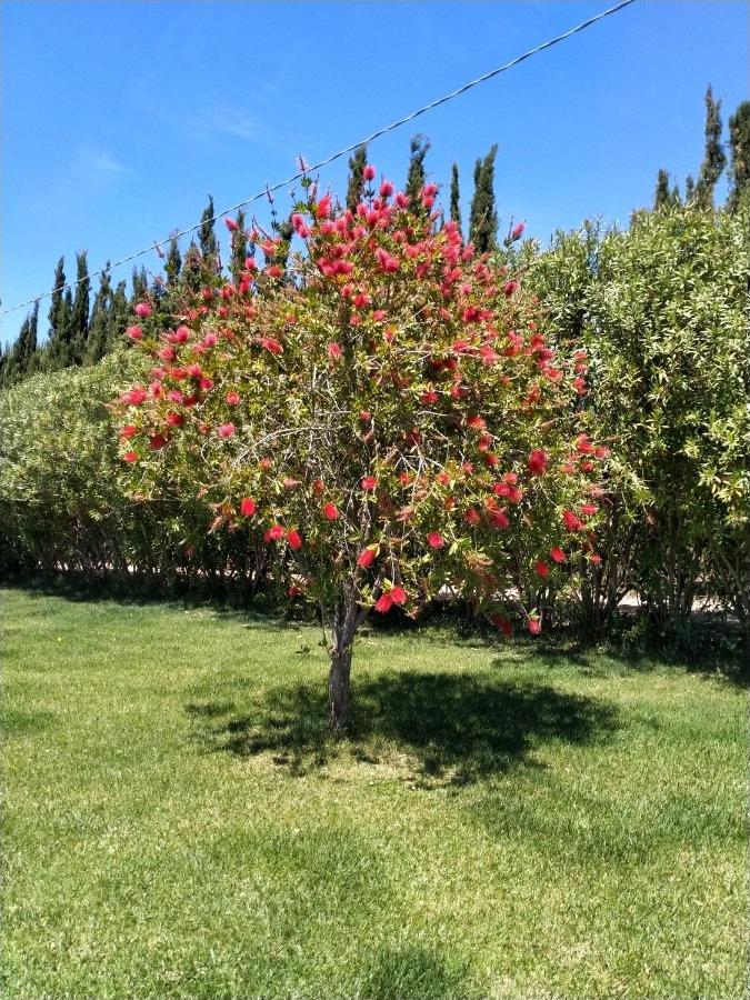 Le Rose Daire Olmedo Dış mekan fotoğraf