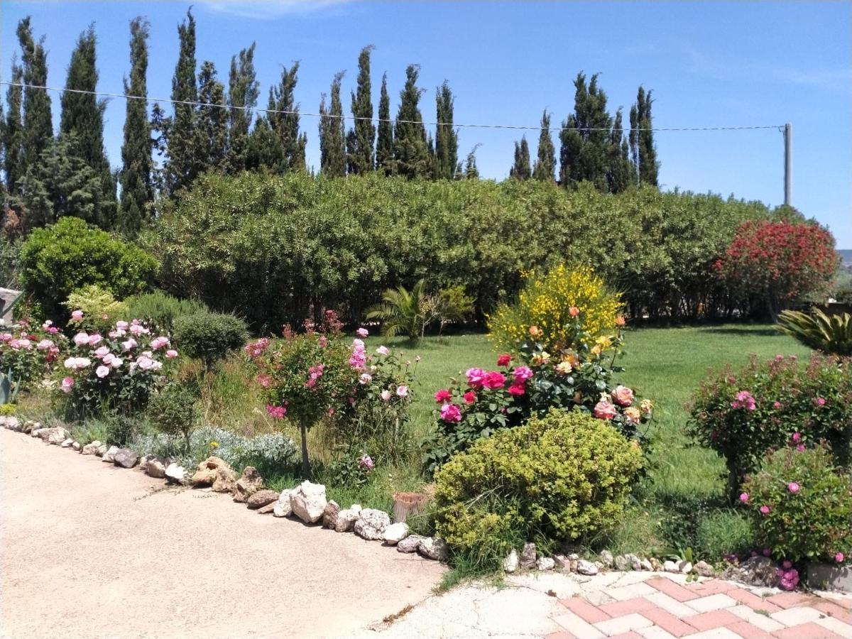 Le Rose Daire Olmedo Dış mekan fotoğraf