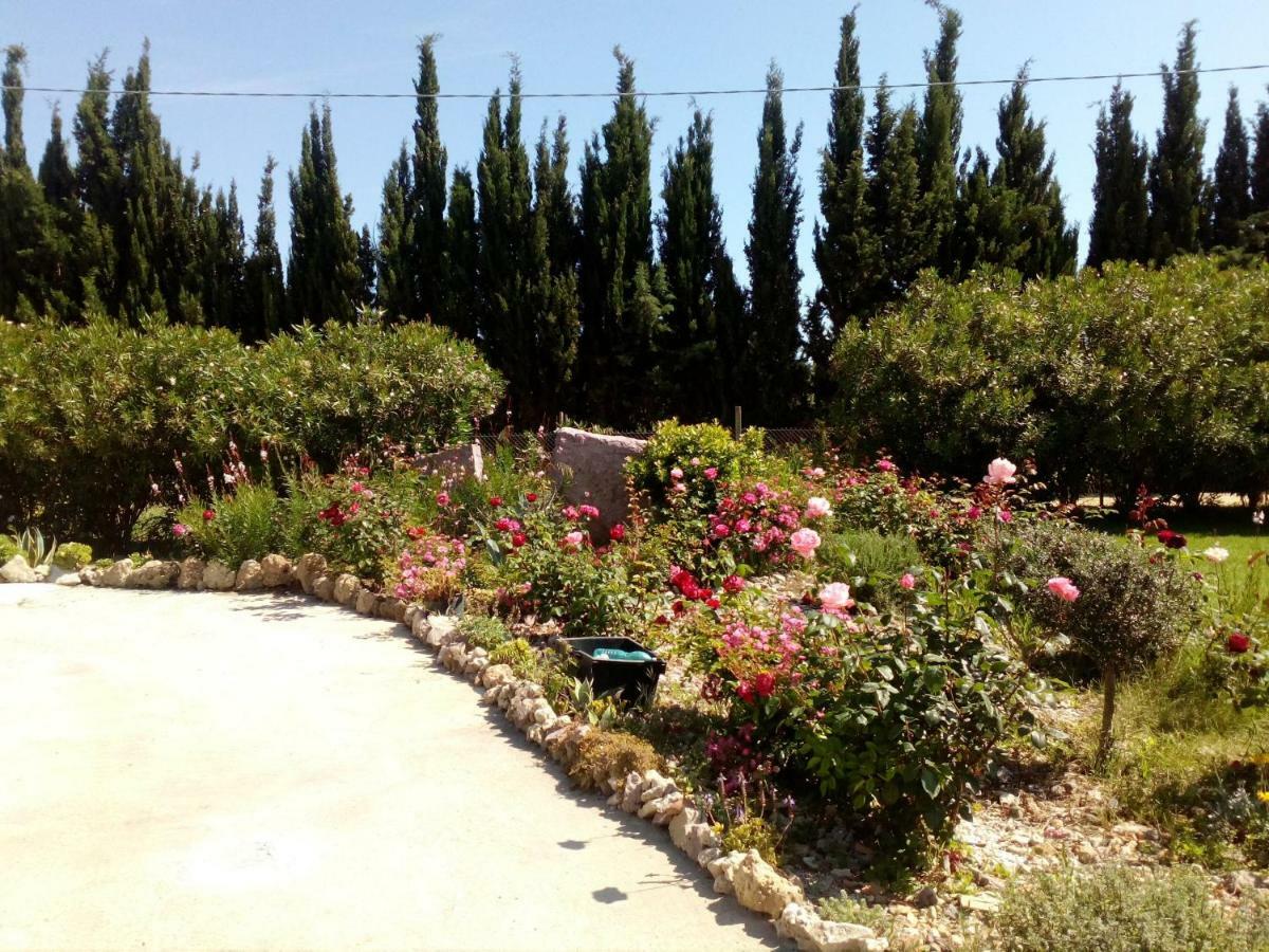 Le Rose Daire Olmedo Dış mekan fotoğraf