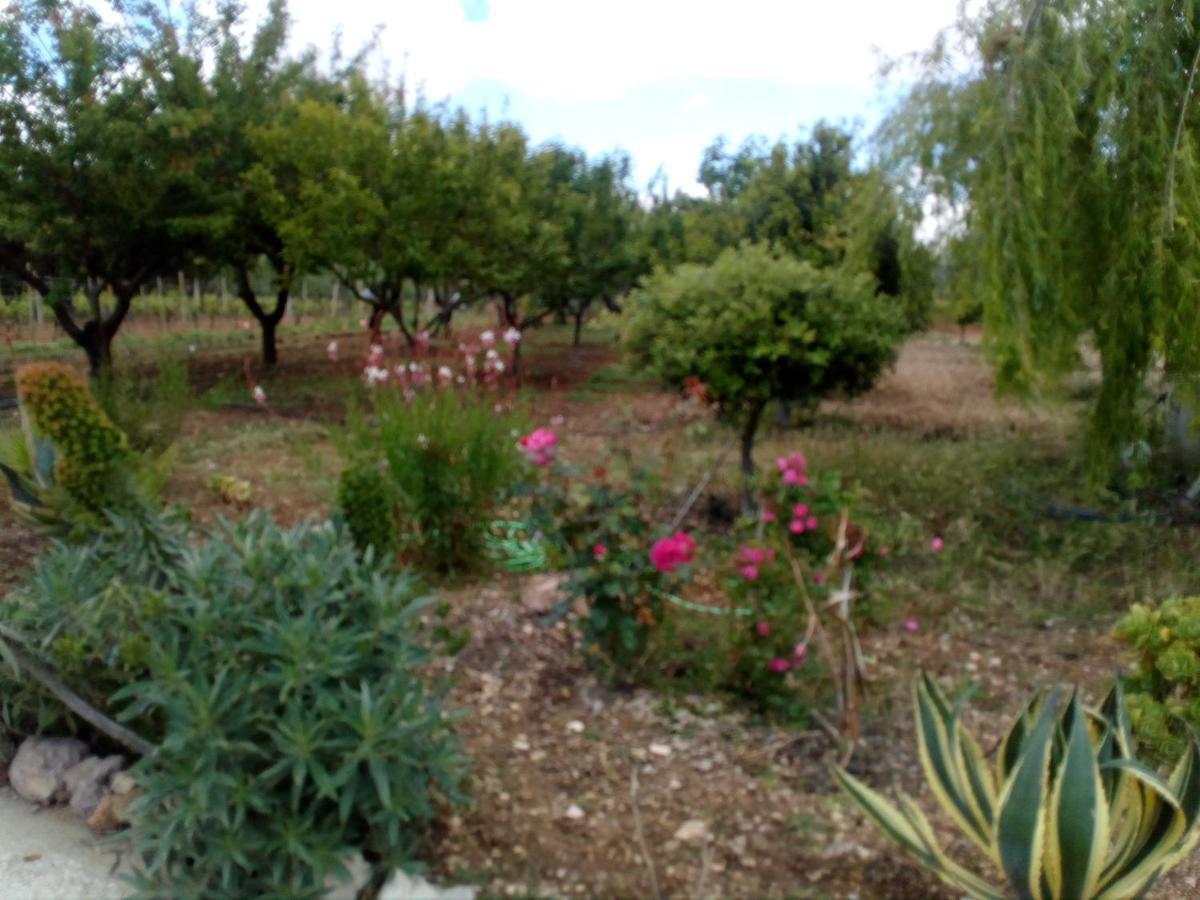 Le Rose Daire Olmedo Dış mekan fotoğraf
