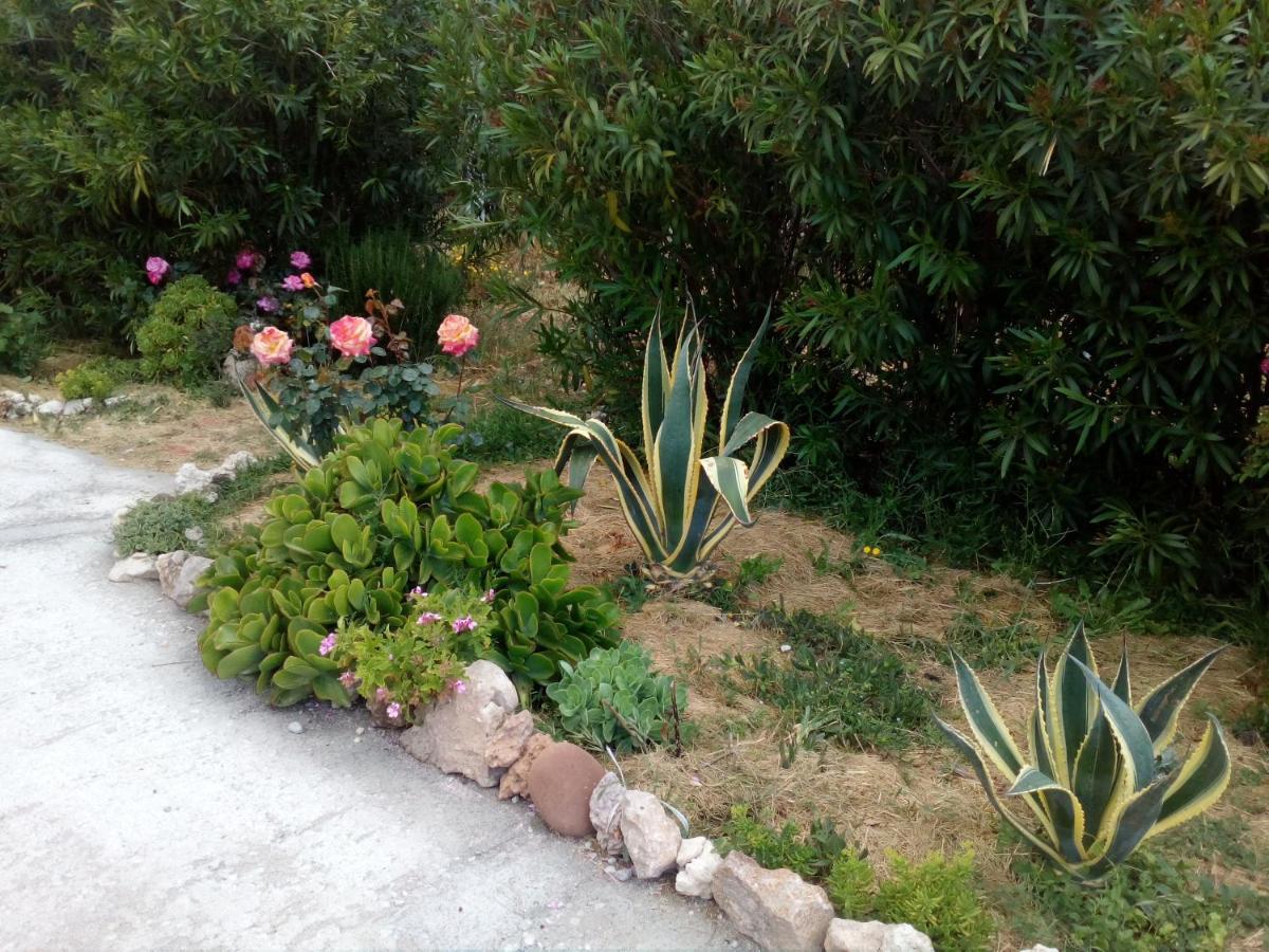 Le Rose Daire Olmedo Dış mekan fotoğraf