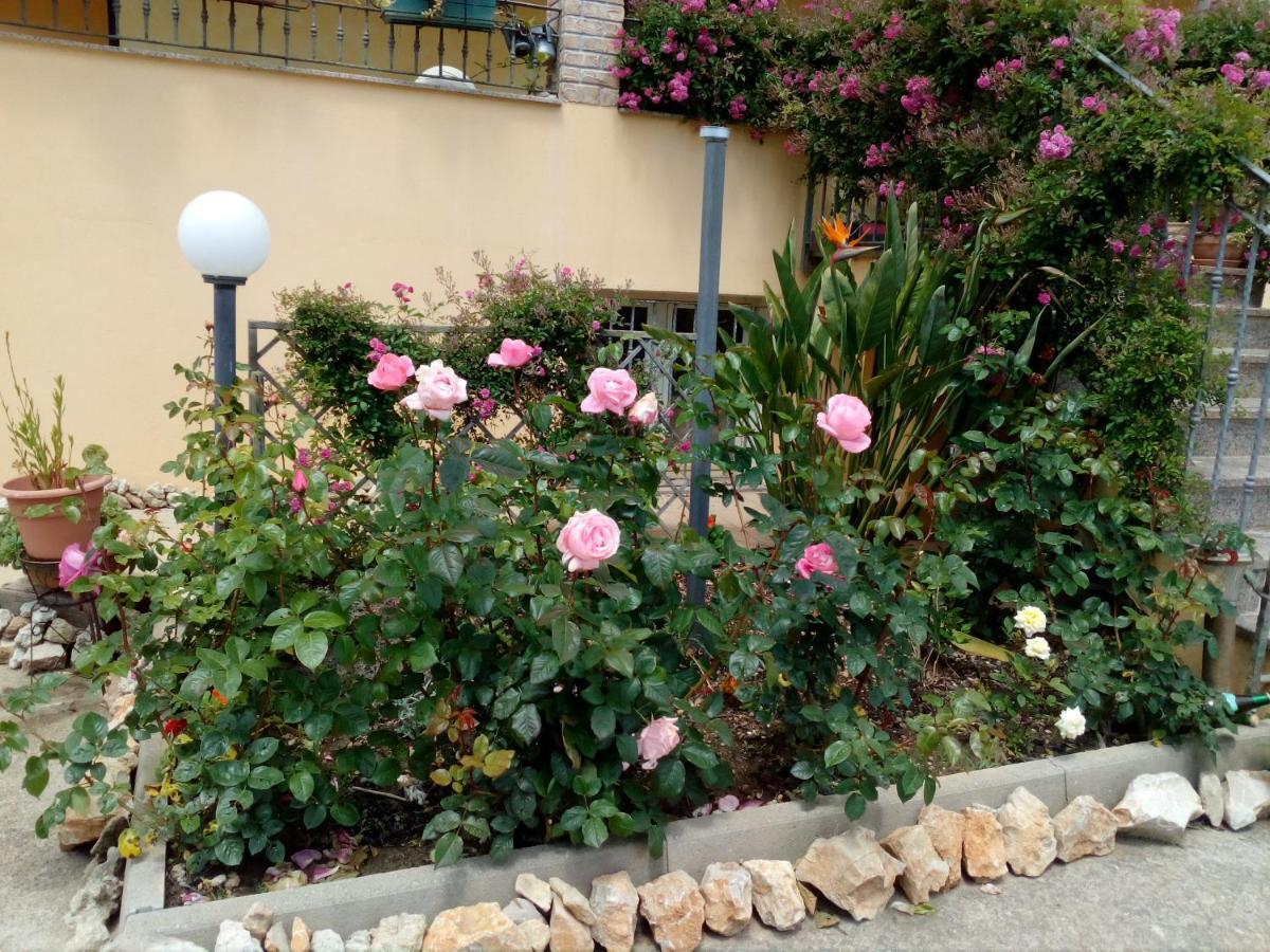 Le Rose Daire Olmedo Dış mekan fotoğraf
